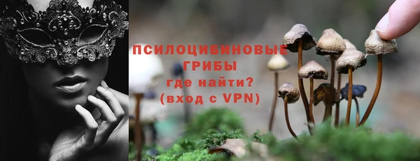 спиды Михайловск