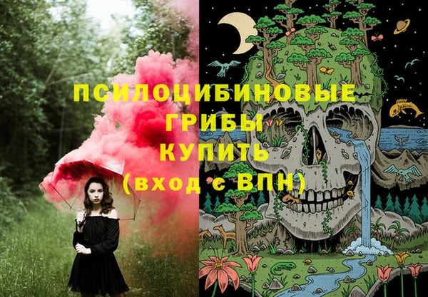 экстази Медвежьегорск