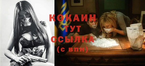 гашик Михайлов