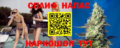 сатива Балаково