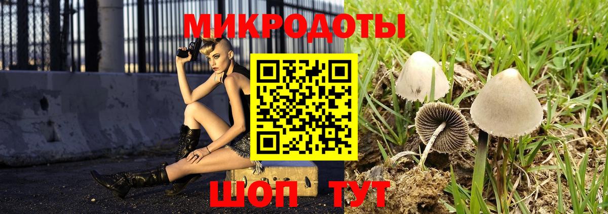 Галлюциногенные грибы Magic Shrooms  Псилоцибиновые грибы GOLDEN TEACHER  Вход с VPN  Челябинск 